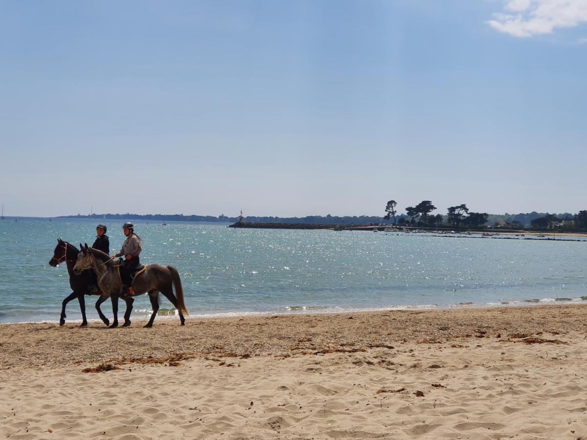 Vacances O Loch - Studio A 200 Metres De La Plage - Le Cap Coz ฟุยส์นอง ภายนอก รูปภาพ